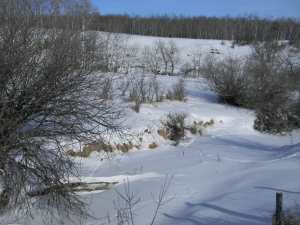 Broughton's Creek Watershed, February 2013 - No wetlands in sight yet