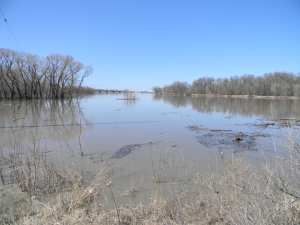 Near St Adolphe, MB, 3 May 2013 - The Seine River, overspilling its banks